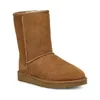 UGG Women's Classic II Short...