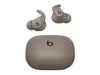Beats Powerbeats Fit Earbuds...