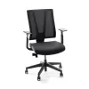Clarksville Ergonomic Chair...