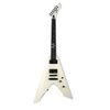 ESP LTD James Hetfield...