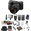 Sony Alpha a6600 Mirrorless...