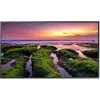 Samsung QB55C QBC Series LED...
