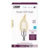 Feit Smart Home CA10 (Flame...