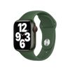 Apple Watch Series 7 (2021)...