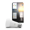 Philips - Hue WA 1600 Lumen...