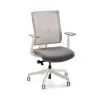 Clarksville Ergonomic Chair...