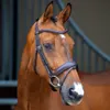 Shires Lusso Dressage Flash...