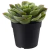 IKEA.. 703.953.00 Artificial...