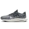 Nike Pegasus Turbo Next...