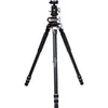 Vanguard VEO 3+ 263AB...