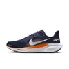 Denver Broncos Pegasus 41...