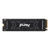 Kingston Technology 500G FURY...