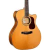 Cort Gold Series A6...