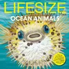 Lifesize Ocean Animals Sophy...
