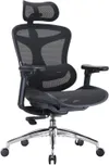 SIHOO Doro C300 Fauteuil de...