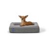 Casper Dog Bed, Plush Memory...