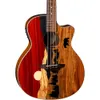 Luna Vista Bear Tropical Wood...