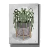 Spider Plant by House Fenway...