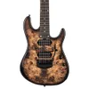 Ernie Ball Music Man Jason...