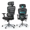 Axion, Ergonomic Hybrid Chair