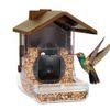 Wasserstein - Bird Feeder...