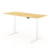 FlexiSpot Premium Standing...