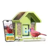 Birdfy Metal Bird Feeder with...