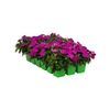 18-Pack Compact Lilac ...