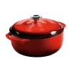 Lodge Enameled Cast Iron...