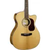 Cort Gold Series OC6...