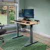 Vari® Electric Standing Desk...