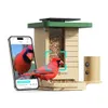 Birdfy Smart Bird Feeder with...