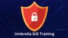 Cisco Umbrella Training