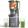 AMZCHEF Cold Press Juicer,...