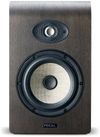 Focal Shape 65 6in Active...