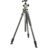 ALTA PRO 2+ 263CT 3-Section...