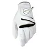 Alpha One Golf Glove