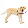 PetSafe Easy Walk Dog...