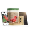 Birdfy Feeder Rookie -...
