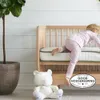 Organic Crib Mattress