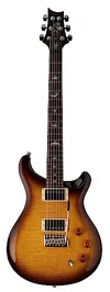 PRS SE DGT Birds McCarty...