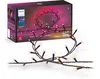 Philips Hue Festavia String...