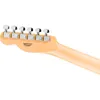 Fender Standard Telecaster...