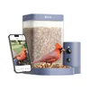 Birdfy Rookie Smart Bird...
