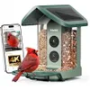 Kiwibit Solar Smart Bird...