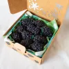 Blackberry Birthday Candle...