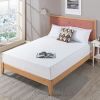 Wayfair Sleep™ 10" Medium...