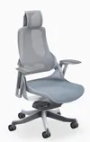 Pursuit Ergonomic Chair by...