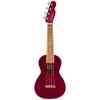 Fender Monterey Concert...