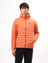 Patagonia Down Sweater Hoody...
